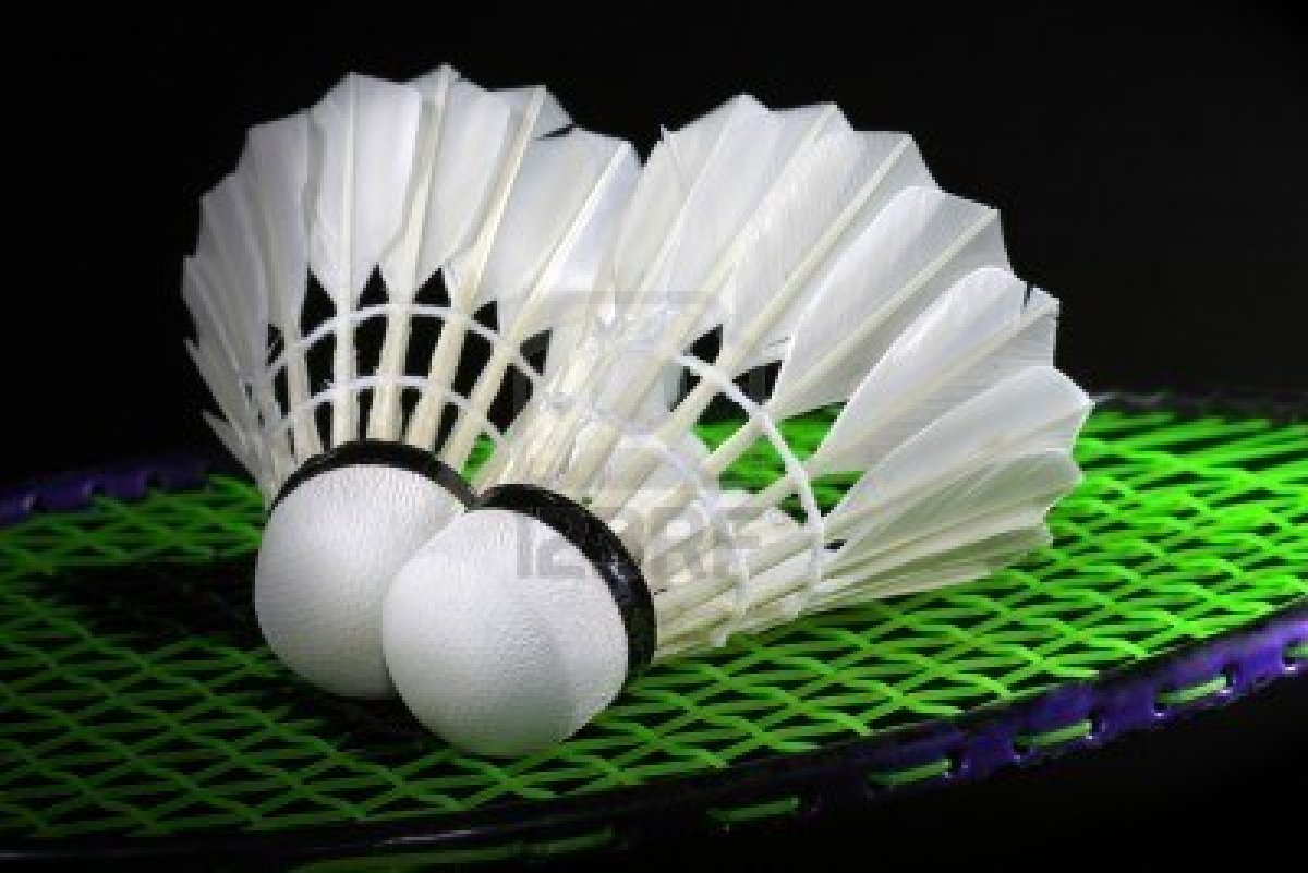 Mustangs reclaim overall title at District 8 badminton 